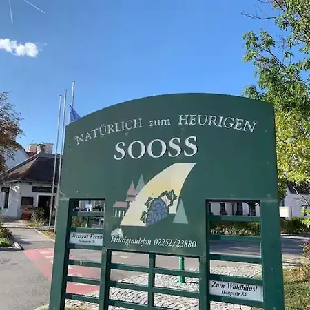 Villa Fuer Praesentationen Und Events, Eine Nacht Im Puppenmuseum Erleben * Bad Voeslau