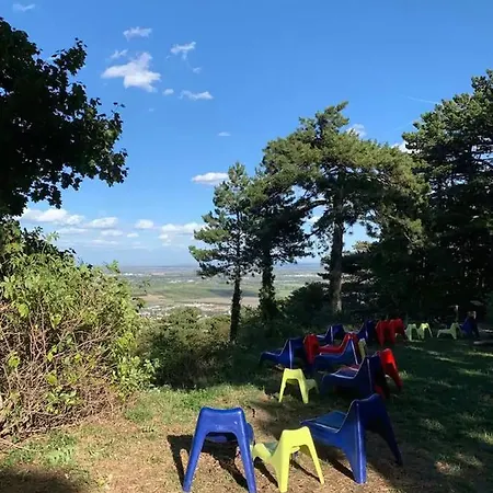 Villa Fuer Praesentationen Und Events, Eine Nacht Im Puppenmuseum Erleben * Bad Voeslau