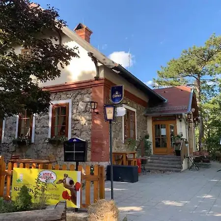 Villa Fuer Praesentationen Und Events, Eine Nacht Im Puppenmuseum Erleben * Bad Voeslau