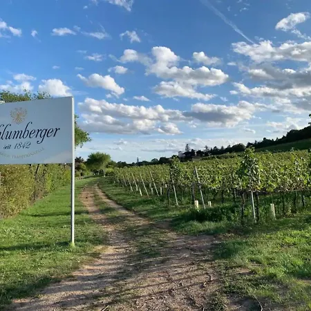 Villa Fuer Praesentationen Und Events, Eine Nacht Im Puppenmuseum Erleben