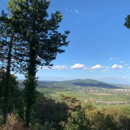 Lejlighed Villa Fuer Praesentationen Und Events, Eine Nacht Im Puppenmuseum Erleben