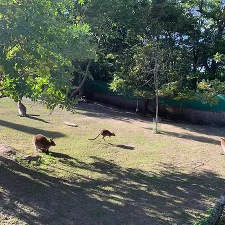 Lejlighed Villa Fuer Praesentationen Und Events, Eine Nacht Im Puppenmuseum Erleben *