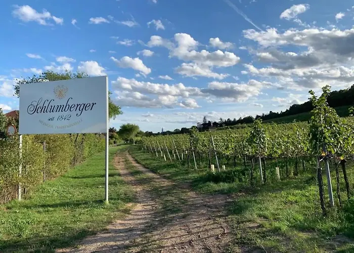 Villa Fuer Praesentationen Und Events, Eine Nacht Im Puppenmuseum Erleben