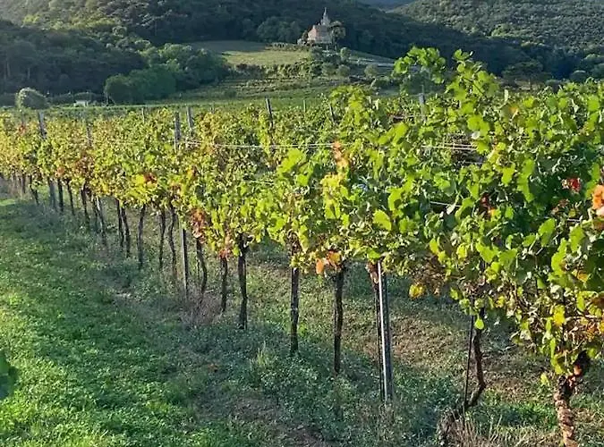 Villa Fuer Praesentationen Und Events, Eine Nacht Im Puppenmuseum Erleben