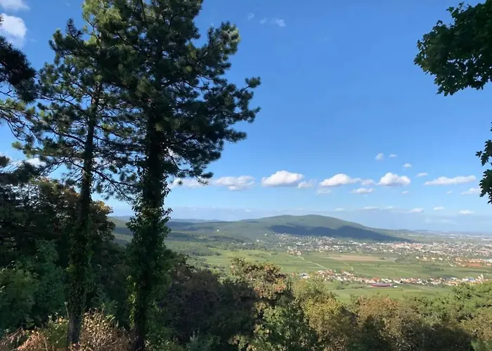 Lejlighed Villa Fuer Praesentationen Und Events, Eine Nacht Im Puppenmuseum Erleben