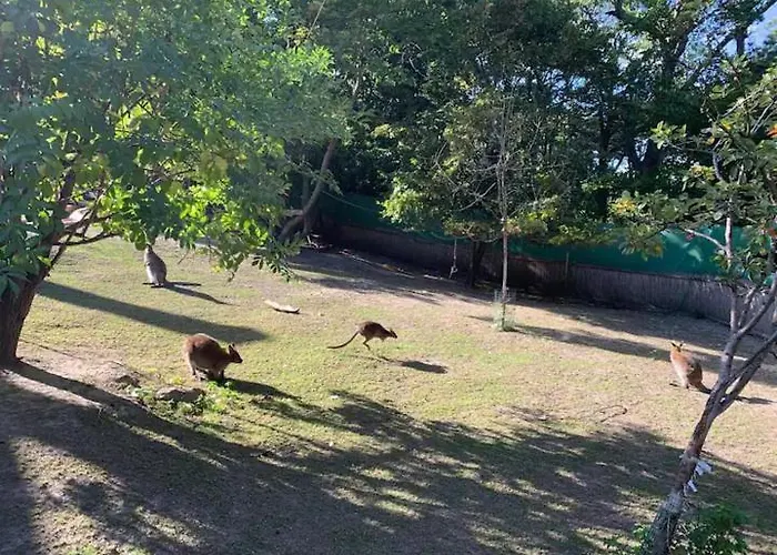 Lejlighed Villa Fuer Praesentationen Und Events, Eine Nacht Im Puppenmuseum Erleben *